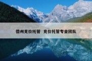 德州竞价托管  竞价托管专业团队