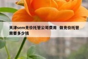 天津sem竞价托管公司费用  做竞价托管需要多少钱