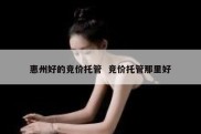 惠州好的竞价托管  竞价托管那里好