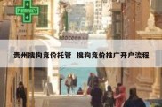 贵州搜狗竞价托管  搜狗竞价推广开户流程