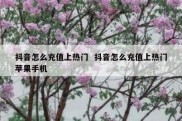 抖音怎么充值上热门  抖音怎么充值上热门苹果手机