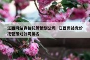 江西网站竞价托管策划公司  江西网站竞价托管策划公司排名