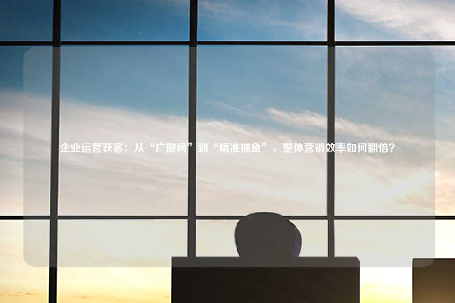 企业运营获客:从“广撒网”到“精准捕鱼”,整体营销效率如何翻倍?