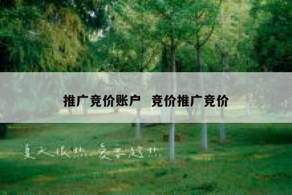 推广竞价账户 竞价推广竞价