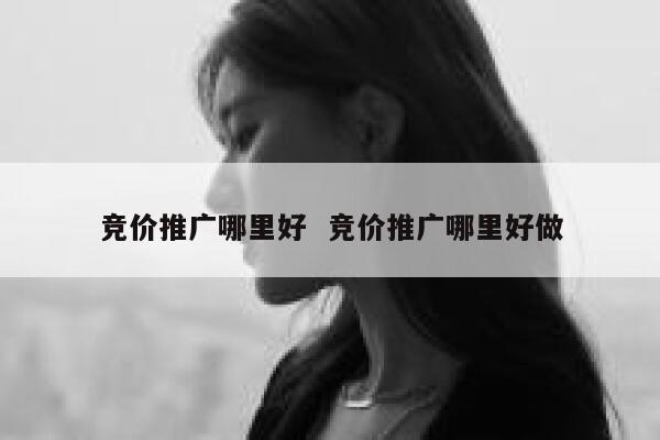 竞价推广哪里好  竞价推广哪里好做 第1张