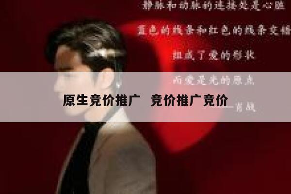 原生竞价推广  竞价推广竞价 第1张
