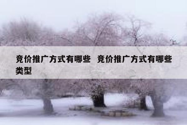 竞价推广方式有哪些  竞价推广方式有哪些类型 第1张