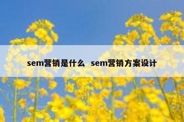 sem营销是什么  sem营销方案设计 第1张