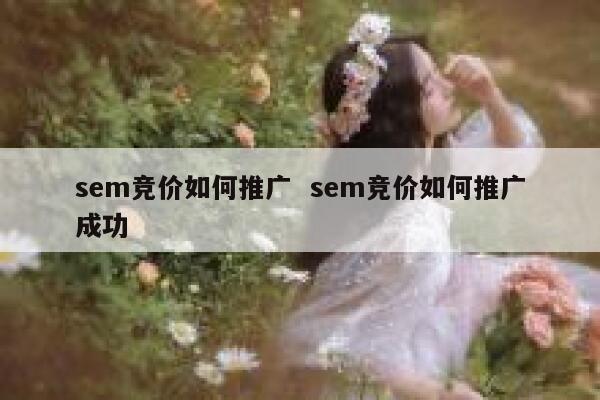 sem竞价如何推广  sem竞价如何推广成功 第1张