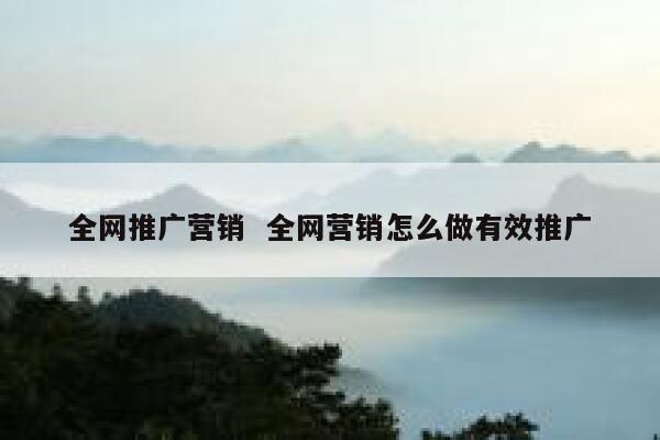 全网推广营销  全网营销怎么做有效推广