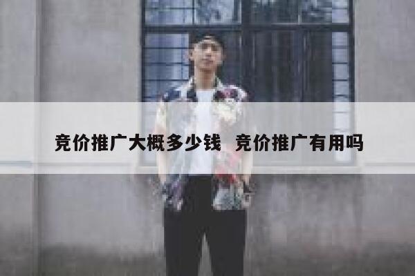 竞价推广大概多少钱  竞价推广有用吗