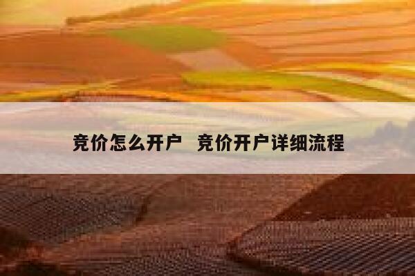 竞价怎么开户  竞价开户详细流程