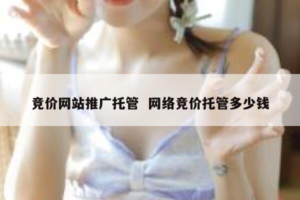竞价网站推广托管  网络竞价托管多少钱