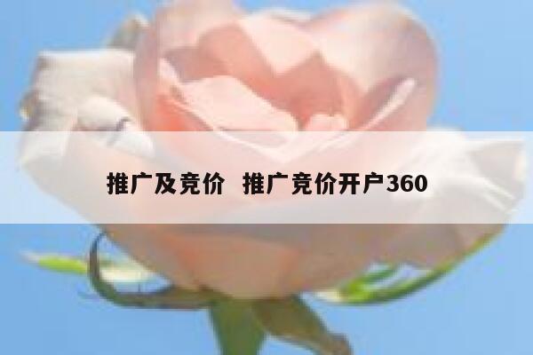 推广及竞价 推广竞价开户360