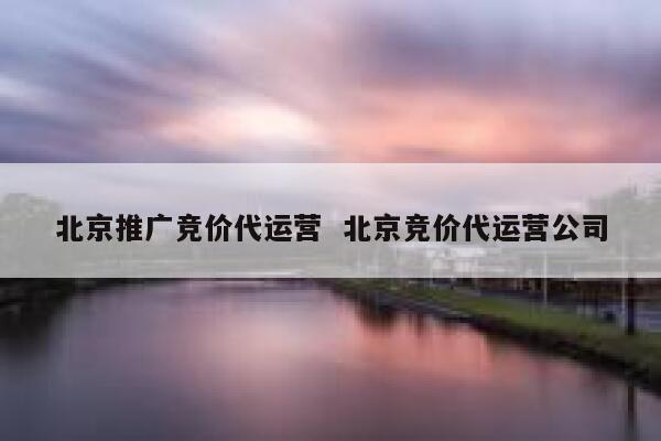 北京推广竞价代运营  北京竞价代运营公司 第1张