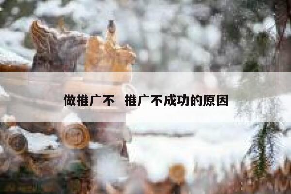做推广不  推广不成功的原因