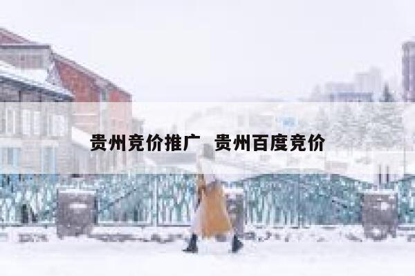 贵州竞价推广  贵州百度竞价 第1张
