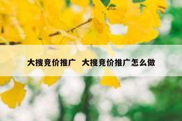 大搜竞价推广  大搜竞价推广怎么做 第1张