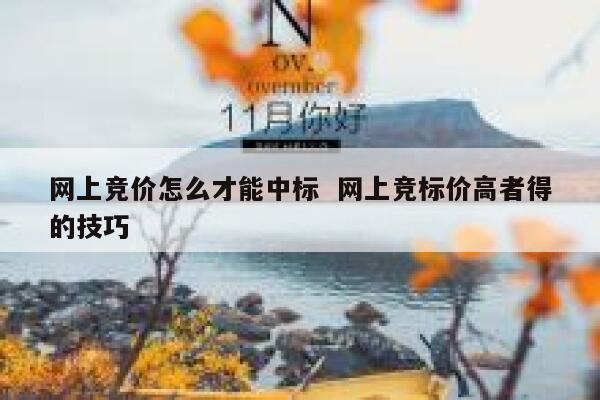 网上竞价怎么才能中标  网上竞标价高者得的技巧
