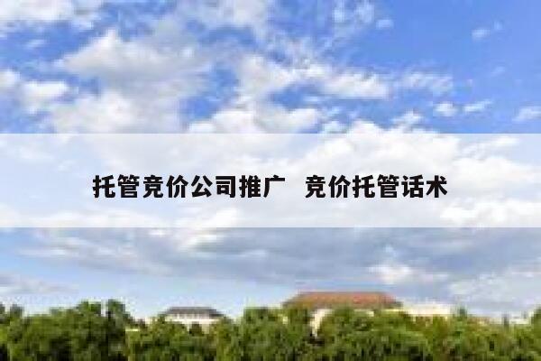 托管竞价公司推广  竞价托管话术