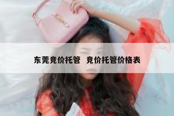 东莞竞价托管  竞价托管价格表
