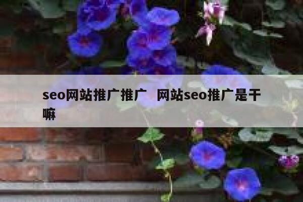 seo网站推广推广  网站seo推广是干嘛