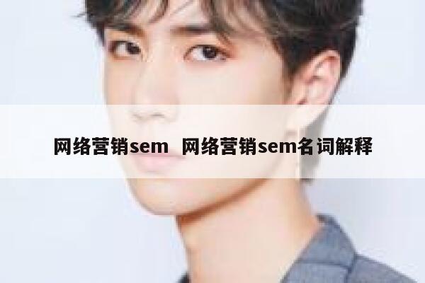 网络营销sem  网络营销sem名词解释 第1张