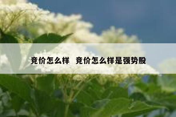 竞价怎么样  竞价怎么样是强势股 第1张
