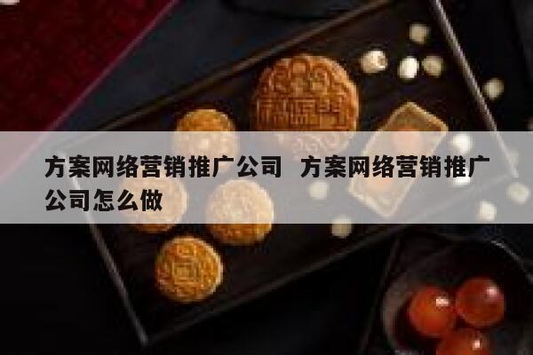 方案网络营销推广公司  方案网络营销推广公司怎么做