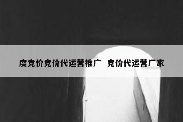 度竞价竞价代运营推广  竞价代运营厂家