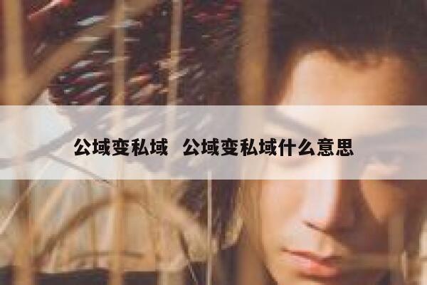 公域变私域  公域变私域什么意思