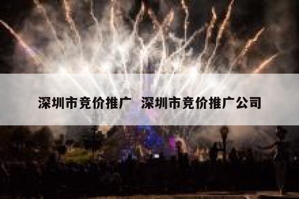 深圳市竞价推广  深圳市竞价推广公司