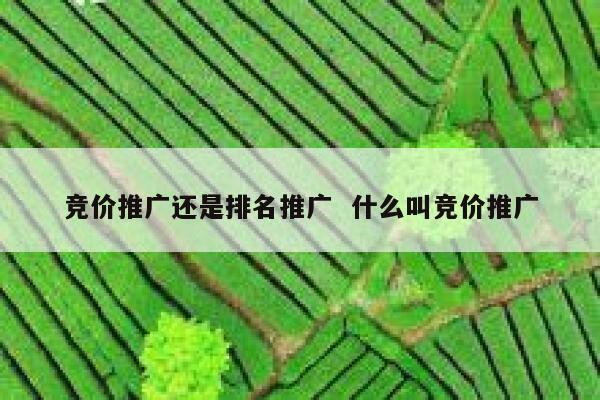 竞价推广还是排名推广  什么叫竞价推广