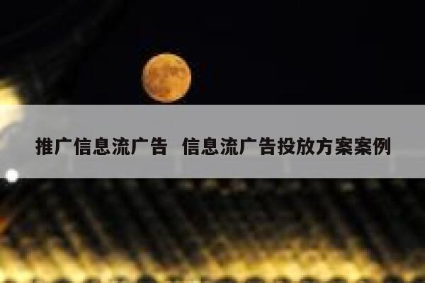 推广信息流广告  信息流广告投放方案案例