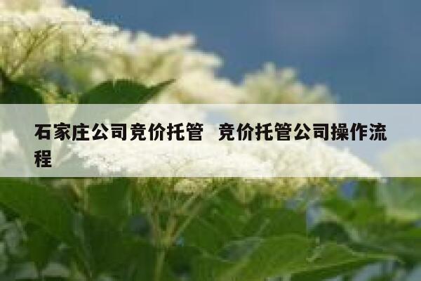 石家庄公司竞价托管  竞价托管公司操作流程