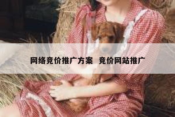 网络竞价推广方案  竞价网站推广