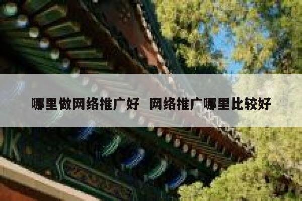 哪里做网络推广好  网络推广哪里比较好