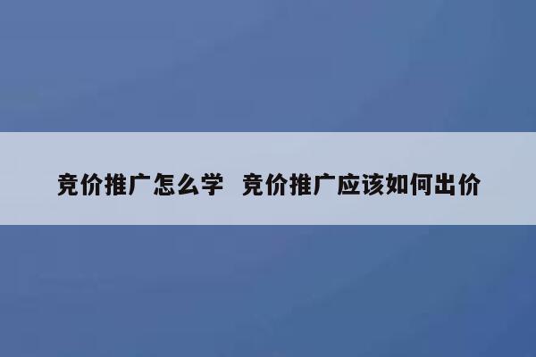 竞价推广怎么学  竞价推广应该如何出价