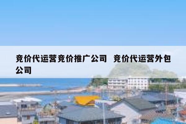竞价代运营竞价推广公司  竞价代运营外包公司