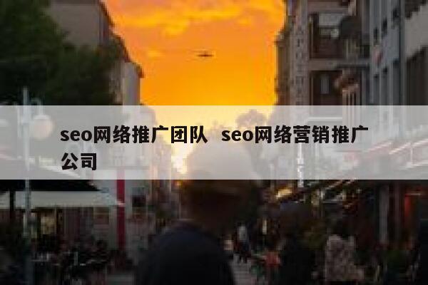seo网络推广团队  seo网络营销推广公司