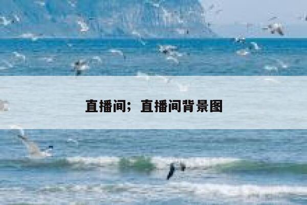 直播间;  直播间背景图