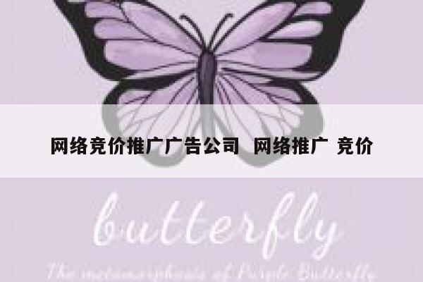 网络竞价推广广告公司  网络推广 竞价