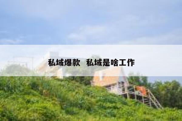 私域爆款  私域是啥工作