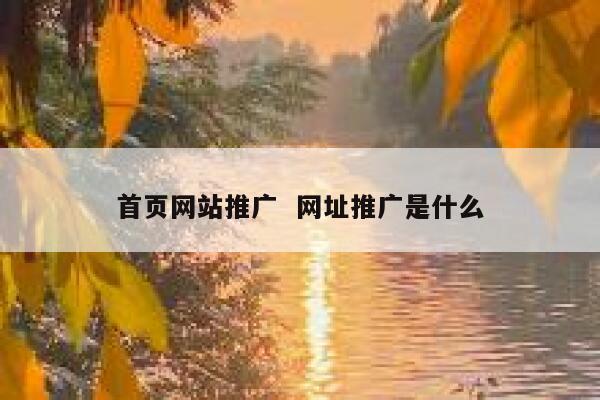 首页网站推广  网址推广是什么