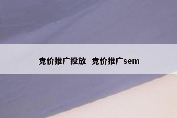 竞价推广投放  竞价推广sem
