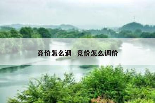 竞价怎么调  竞价怎么调价