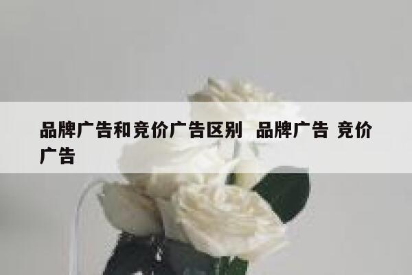 品牌广告和竞价广告区别  品牌广告 竞价广告