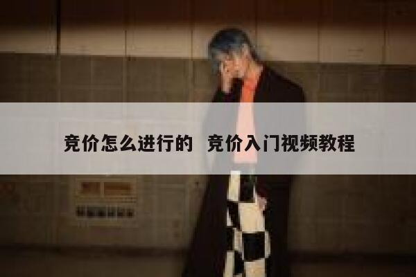 竞价怎么进行的  竞价入门视频教程
