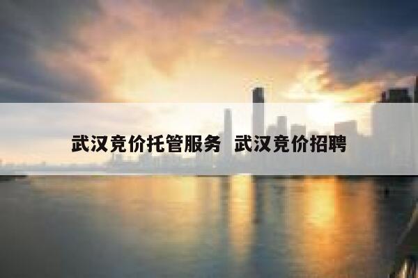 武汉竞价托管服务  武汉竞价招聘