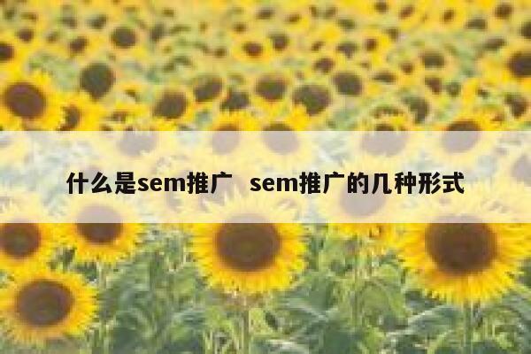 什么是sem推广  sem推广的几种形式